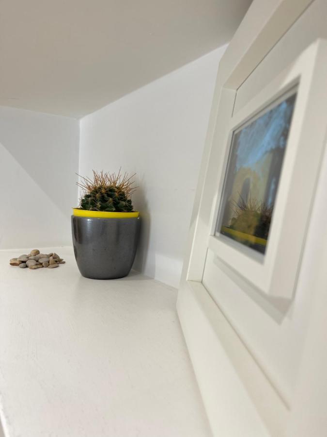 Green Home ローマ エクステリア 写真